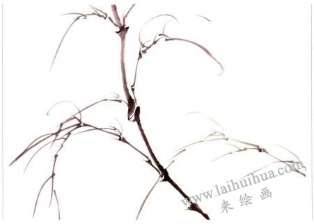 国画竹子小枝的画法
