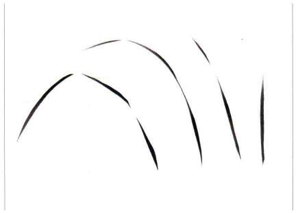 兰叶画法:一笔画兰法