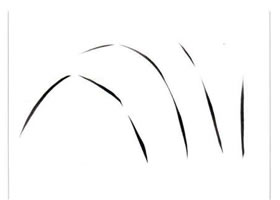 兰叶画法:一笔画兰法