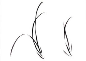国画兰花:—丛兰叶的画法