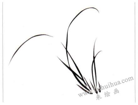两丛兰叶的画法01