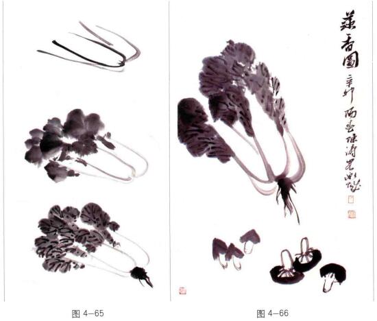 国画白菜的画法