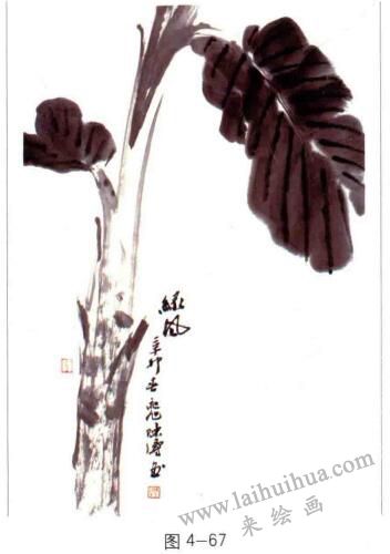 国画芭蕉的画法01