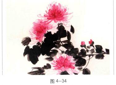 国画菊花点花法