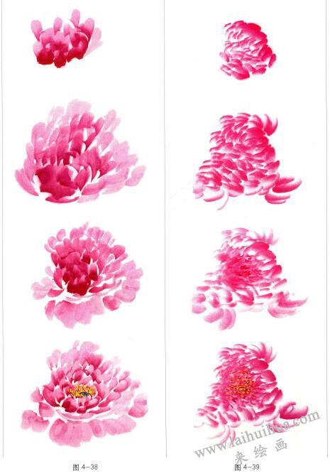 国画牡丹花头,单笔法和复笔法