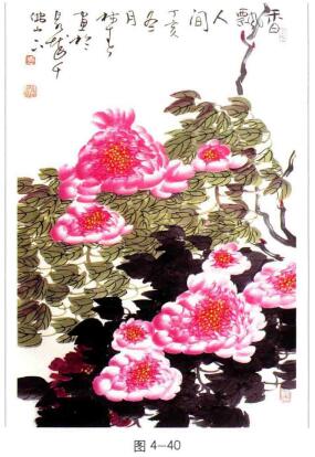 国画牡丹花头，积色法