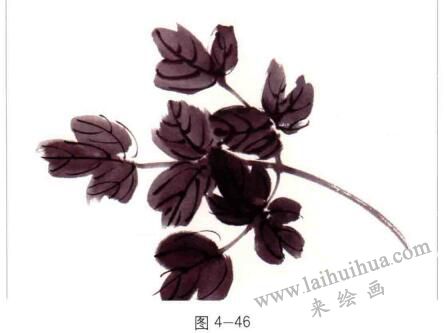 国画牡丹叶子的画法01