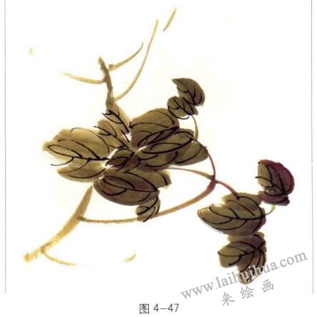 国画牡丹叶子的画法02