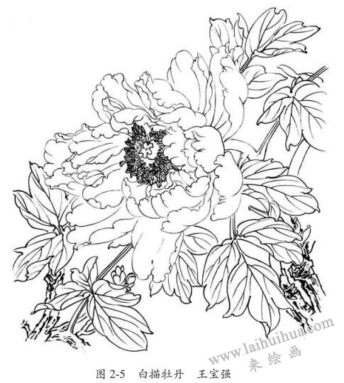白描牡丹，王宝强