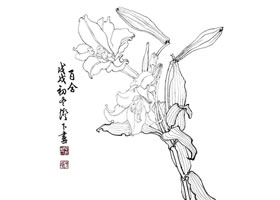 百合白描临摹作品