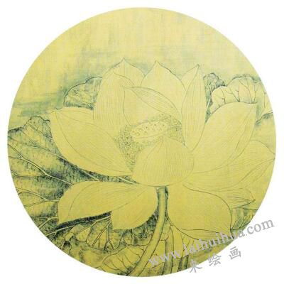 国画宋画小品《出水芙蓉》临摹步骤一