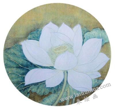 国画宋画小品《出水芙蓉》临摹步骤三