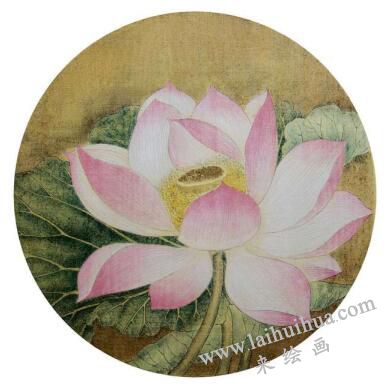 国画宋画小品《出水芙蓉》临摹步骤四