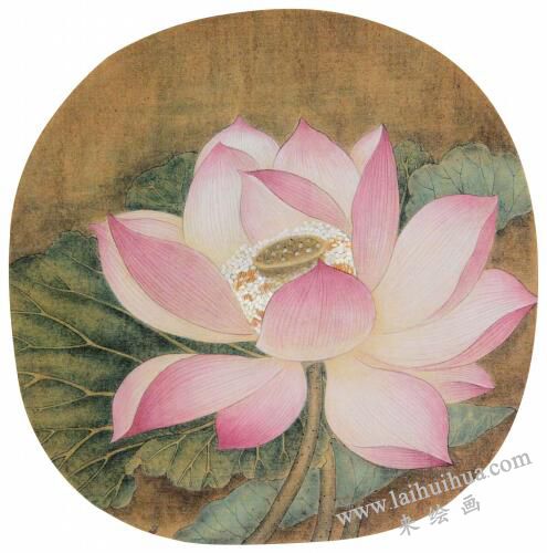 国画宋画小品《出水芙蓉》临摹步骤五