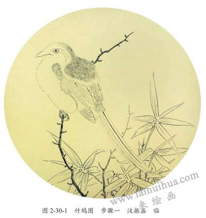 《竹鸠图》临摹方法及步骤01