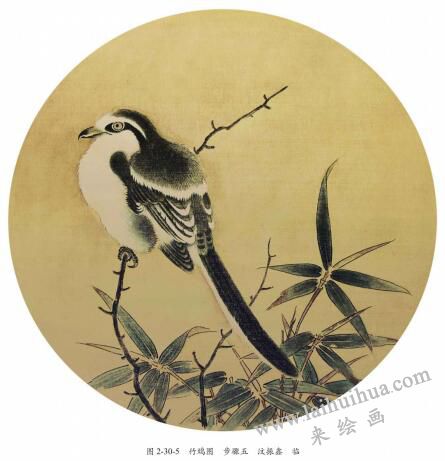 《竹鸠图》临摹方法及步骤05