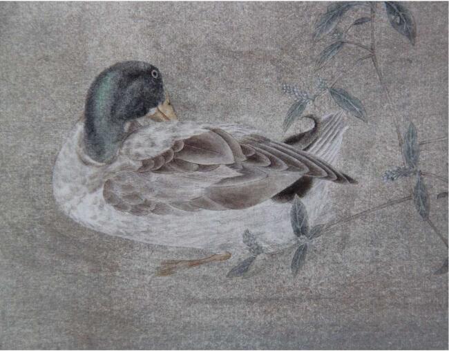 国画彩色禽鸟着色方法