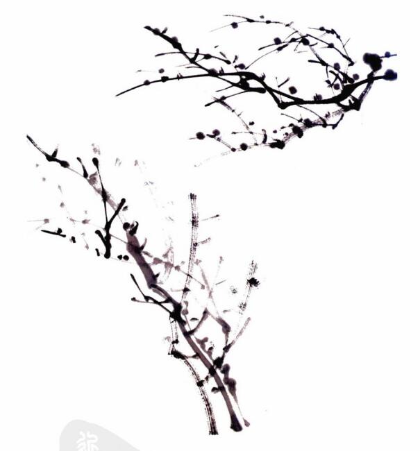 国画梅花枝干画法