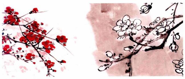 国画梅花花朵着枝画法