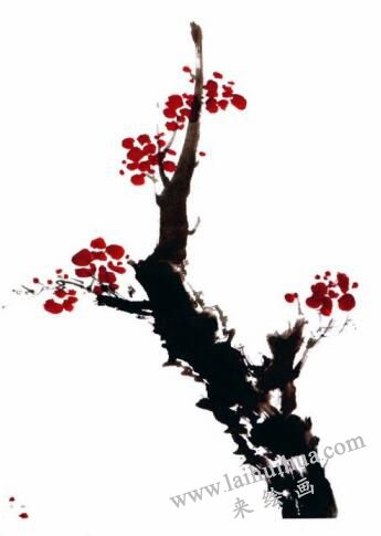 国画梅花的画法步骤03