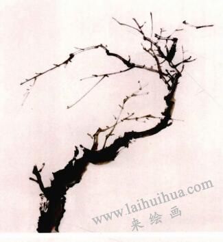 国画梅花的画法步骤01