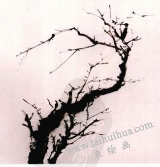 国画梅花的画法步骤02