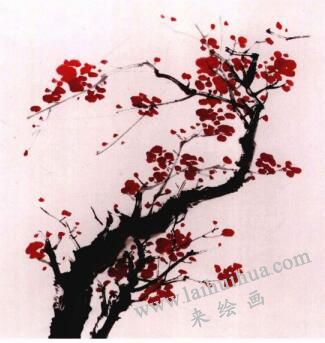 国画梅花的画法步骤03