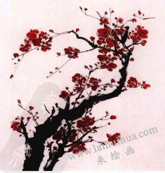 国画梅花的画法步骤04