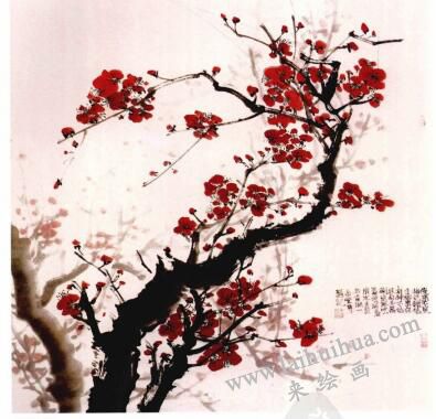 国画梅花的画法步骤05