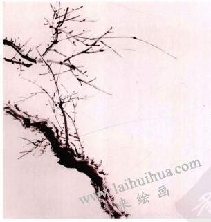 国画梅花的画法步骤02