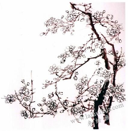 国画梅花的画法步骤03