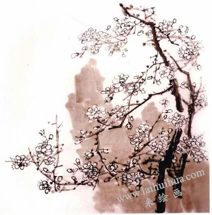国画梅花的画法步骤04