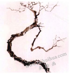 国画梅花的画法步骤01