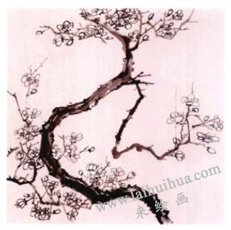 国画梅花的画法步骤02