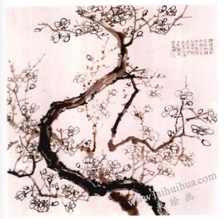 国画梅花的画法步骤05