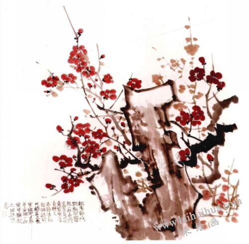 国画梅花的画法步骤05