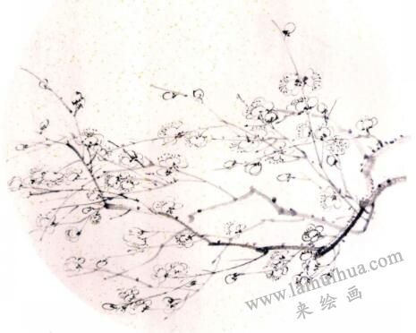 国画梅花的画法步骤03