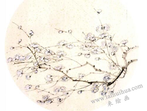 国画梅花的画法步骤04