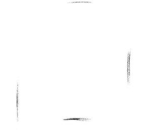 悬挂的珍珠吊兰素描画法步骤01
