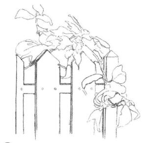 栅栏花藤的素描画法步骤01