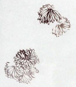 国画菊花的范画练习步骤01，范例二