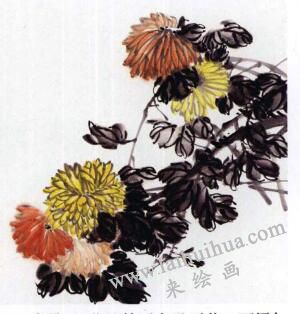国画菊花的范画练习步骤03，范例二