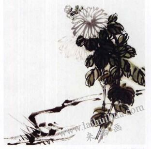 国画菊花的范画练习步骤02，范画五