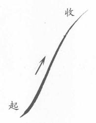 菊花叶子叶筋的勾法01