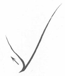 菊花叶子叶筋的勾法02