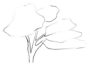 红枫素描画法步骤01