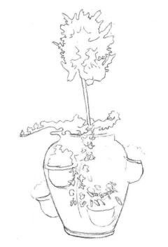 院内植物花卉素描画法步骤01