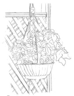私家小院素描画法步骤01