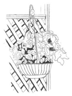 私家小院素描画法步骤02