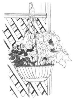 私家小院素描画法步骤03